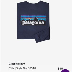 Patagonia Men’s P-6 Logo Responsibili-Tee T-Shirt